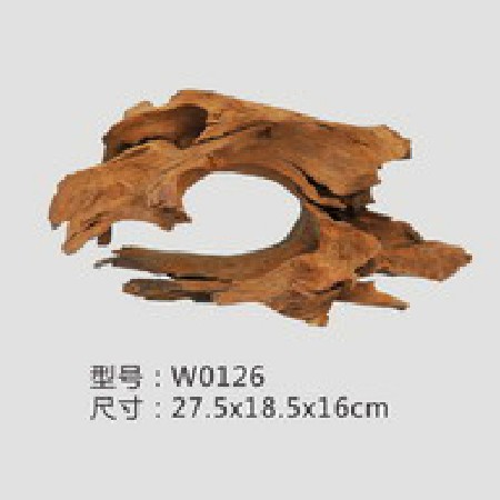 沈木W0126
