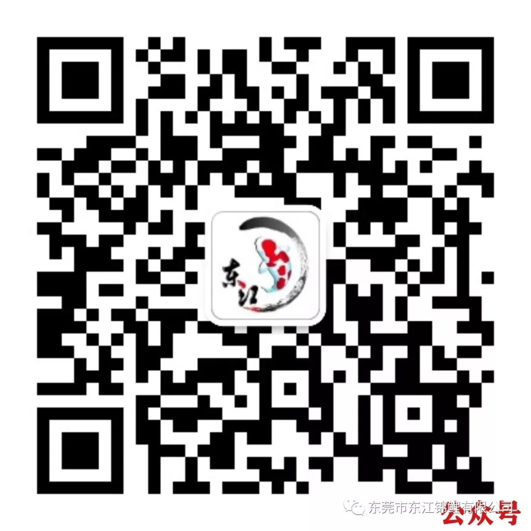 1574128412109928.jpg